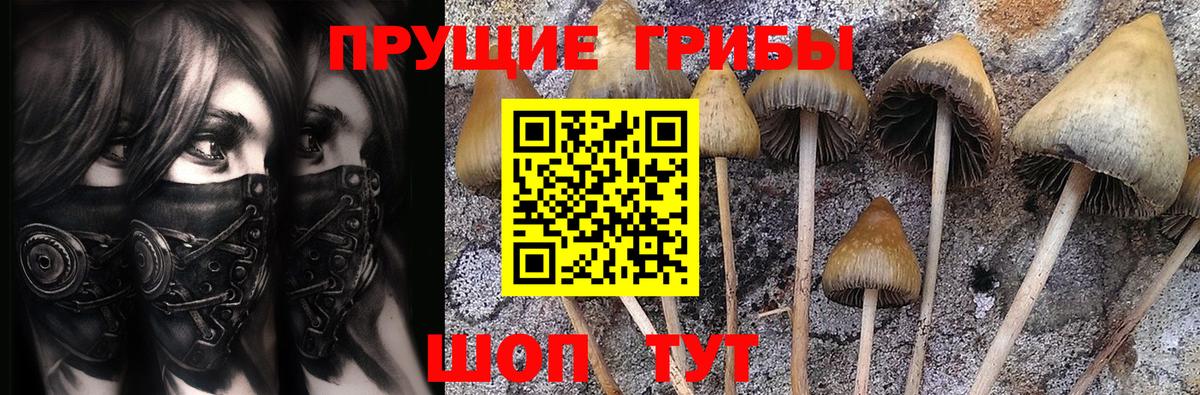 как найти наркотики  Галлюциногенные грибы Psilocybine cubensis  Вход с VPN  Москва 