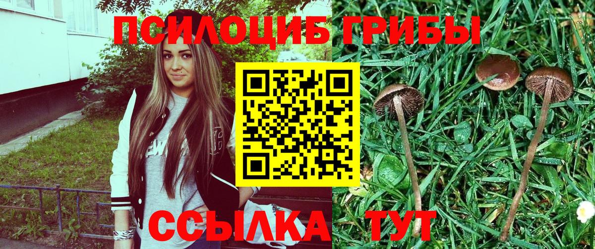 Галлюциногенные грибы прущие грибы Москва